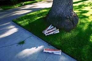 石垣島の星空と自然を満喫するローカルガイド付きアクティビティ体験！