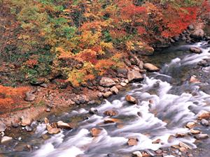 岩国駅徒歩5分の快適ステイを実現！東横INN岩国駅西口の魅力と詳細情報