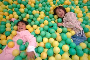 こちらの温泉には合掌村があります