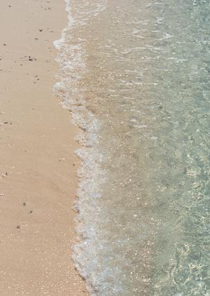 下田市で過ごす贅沢なひととき！美しい景色と地元グルメを楽しむホテルガイド