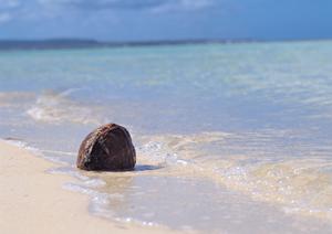 福島・いわき市の快適な宿泊を実現する東横INNいわき駅前｜便利な立地と快適なサービスを徹底紹介