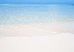 快適な都会のステイを実現！東横INN新宿御苑前駅3番出口の魅力と利用ポイント