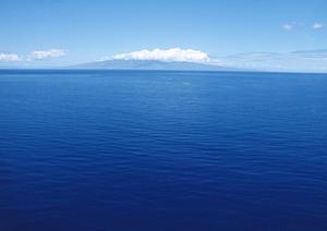 家族で楽しむ！金沢の体験学習で伝統文化と思い出づくり