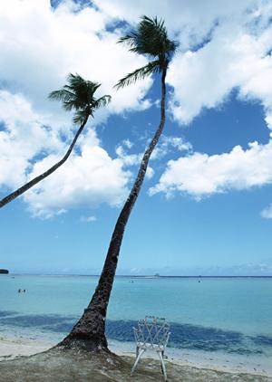 東京都文京区に便利なアクセスと快適なサービスを誇る東横INN後楽園文京区役所前：宿泊の新基準