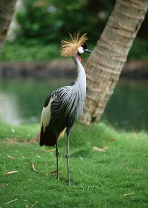 東横INN東京大手町の魅力と最新情報：快適なビジネス旅をサポートする便利なホテルガイド