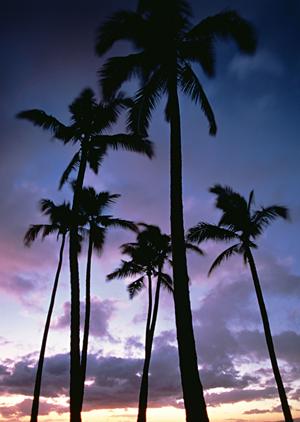 中部国際空港からアクセス便利なビジネスホテル【東横INN中部国際空港1】の魅力と詳細情報