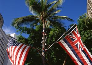 東横イン小山駅東口2の魅力と特徴｜便利なアクセスと快適な宿泊体験を提供