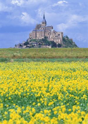 家族で楽しむ石垣島アクティビティ！初心者向けの安全な体験と自然の魅力を満喫するプランガイド