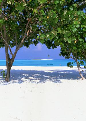 Marseilleの便利な立地とコストパフォーマンス抜群の宿泊施設【ホテルトヨコインマルセイユセントラル】の詳細と魅力