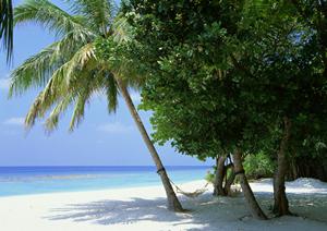 東横イン蒲田1：東京都大田区に位置する便利で快適なビジネスホテル【公式サイト情報と特徴解説】