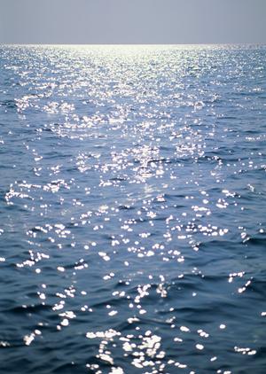 原宿でおすすめのカワウソカフェ