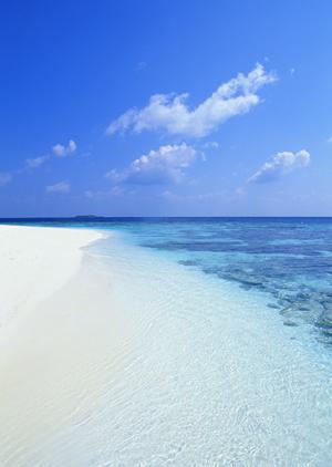 新丸ビル店｜東京浅草の老舗うなぎ料理専門店　駒形前川