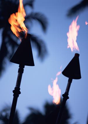 東京都福生市のビジネスホテル｜東横INN福生駅前東口の魅力と詳細情報