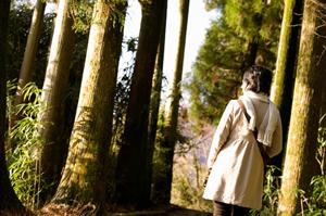 リアル謎解きゲームが楽しめます