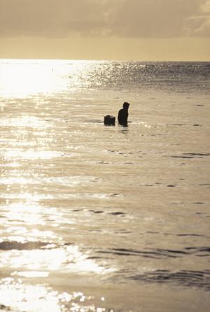 美しい旅を低価格で体験する方法とは